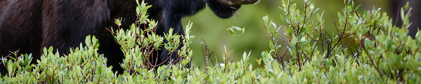 Banner Profil Sekolah